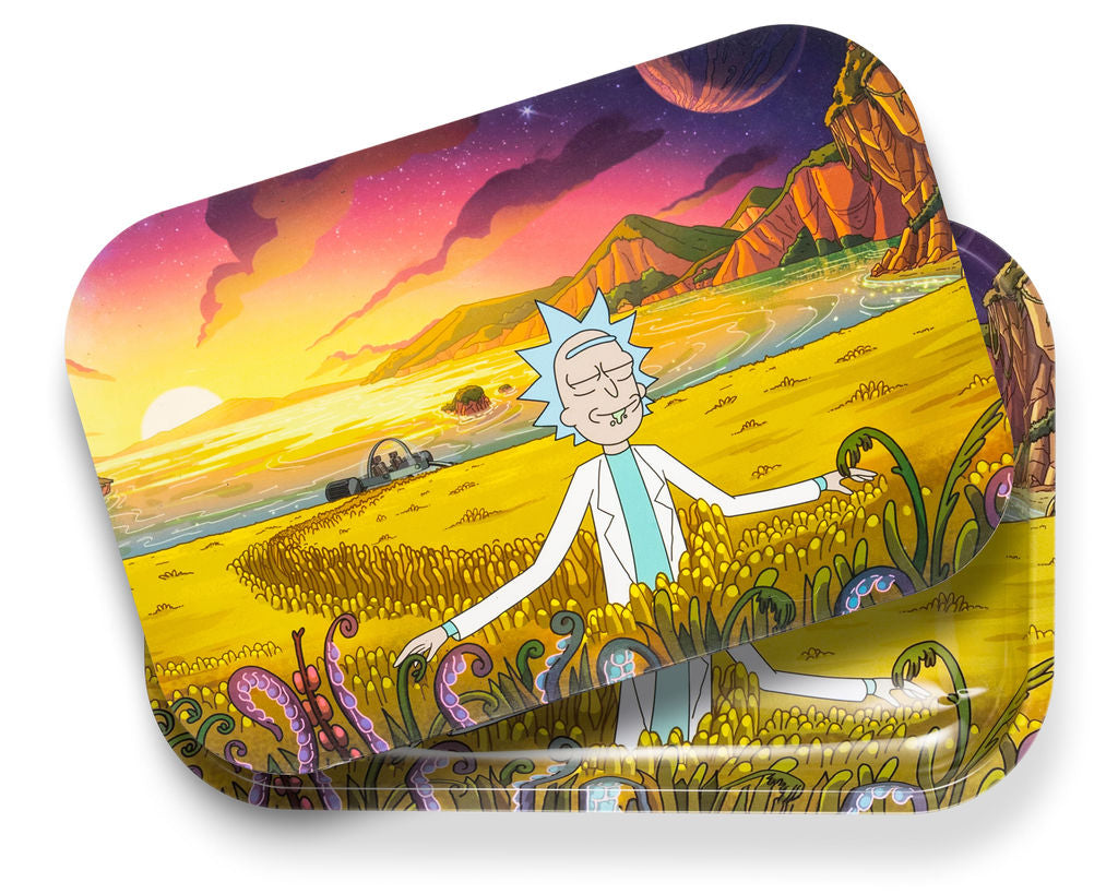 Rick & Morty Rolling Tray with Magnetic Lid, Magnetic Rolling Tray wit –  Crazy Donkey Glass